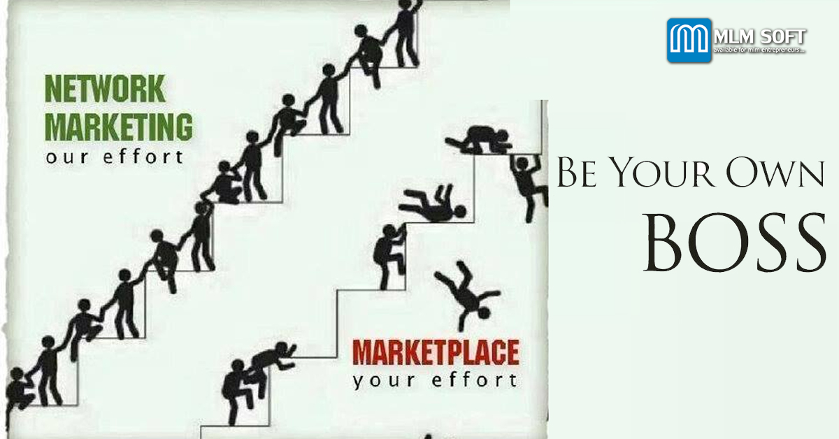 Network marketing and career opportunity