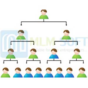 mlm stage binary plan